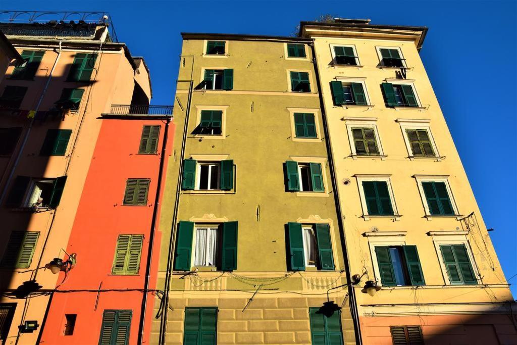Bluhouse Appartement